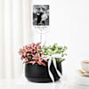 Buy Personalized Fittonia Plant Duo And Fridge Magnet