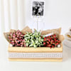 Shop Personalized Fittonia Trio And Fridge Magnet Combo