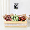 Personalized Fittonia Trio And Fridge Magnet Combo Online