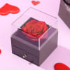 Shop Personalized Forever Rose Gift Set