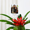 Gift Personalized Fridge Magnet And Striking Red Guzmania Planter