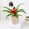 Shop Personalized Fridge Magnet And Striking Red Guzmania Planter