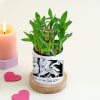 Gift Personalized Guardians of the Galaxy Planter With Bamboo Plant