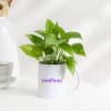 Gift Personalized Heartfelt Mug And Money Plant For Teacher