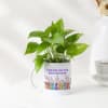 Personalized Heartfelt Mug And Money Plant For Teacher Online