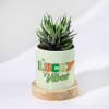 Personalized Lucky Vibes - Haworthia Succulent With Planter For Mom Online
