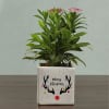 Shop Personalized Merry Christmas Planters