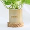 Gift Personalized Money Plant With Pot For Mom