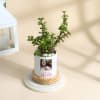 Buy Personalized Mother's Day Jade Plant With Ceramic Planter
