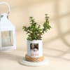 Shop Personalized Mother's Day Jade Plant With Ceramic Planter