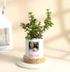 Personalized Mother's Day Jade Plant With Ceramic Planter Online