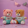 Personalized Pink & Brown Teddy Bears Online