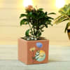 Buy Personalized Pink Planter (Without Plant)