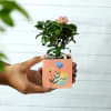 Personalized Pink Planter (Without Plant) Online