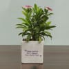 Buy Personalized Planter Set for Office