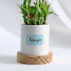 Gift Personalized Positivity Planter With Bamboo Plant