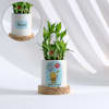 Personalized Positivity Planter With Bamboo Plant Online