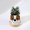Buy Personalized Puppy Ceramic Planter With Haworthia Plant