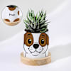 Personalized Puppy Ceramic Planter With Haworthia Plant Online