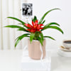Shop Personalized Red Guzmania Plant And Fridge Magnet Combo
