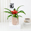 Personalized Red Guzmania Plant And Fridge Magnet Combo Online