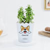 Personalized Self-Watering Dog Planter With Jade Plant Online