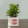 Shop Personalized Set of Ceramic Planters for Christmas & New Year