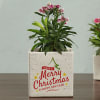 Buy Personalized Set of Ceramic Planters for Christmas & New Year