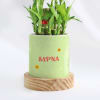 Gift Personalized Two Layered Bamboo Plant In Pot For Mom