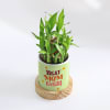 Buy Personalized Two Layered Bamboo Plant In Pot For Mom