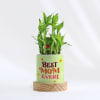 Personalized Two Layered Bamboo Plant In Pot For Mom Online