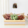 Personalized Vibrant Fittonia Tray Garden Online