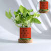 Personalized Watermelon Planter With Money Plant Online