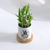 Shop Personalized Women's Day Bamboo Plant With Planter