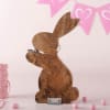 Buy Personalized Wooden Easter Bunny Showpiece