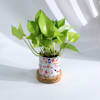 Buy Personalized You Are Mine Planter And Money Plant