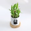 Shop Photographic Memories - 2-Layer Bamboo Plant With Pot - Personalized