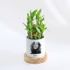 Gift Photographic Memories - 2-Layer Bamboo Plant With Pot - Personalized