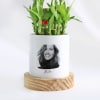 Buy Photographic Memories - 2-Layer Bamboo Plant With Pot - Personalized