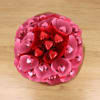 Pink and Red Bouquet Online