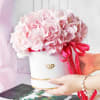 Buy Pink Beauty Flower Box