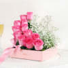 Gift Pink Fiesta Of Roses in a Box