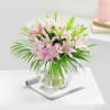 Gift Pink Lily Love