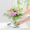 Buy Pink Lily Love