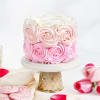 Gift Pink Ombre Roses Cream Cake (1 Kg)