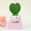 Gift Pink Pinata Heart Planter