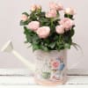 Pink Rose in Vintage Watering Can Online