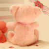 Buy Pink Teddy Bear With Personalized Heart Panel
