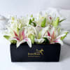 Gift Pink & White Lilies in Box Arrangement