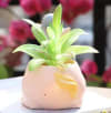 Gift Planter - Baby On Unicorn - Resin - Single Piece